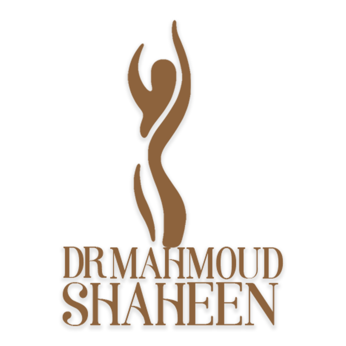 dr-mahmoud-shaheen